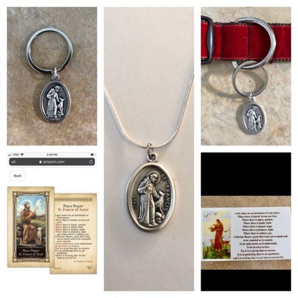 ST FRANCIS NECKLACE &CARDS SAVES PETS IN HIGH KILL S… - Picture 5 of 9